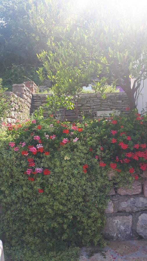 Petrovac Vila Lucice מראה חיצוני תמונה