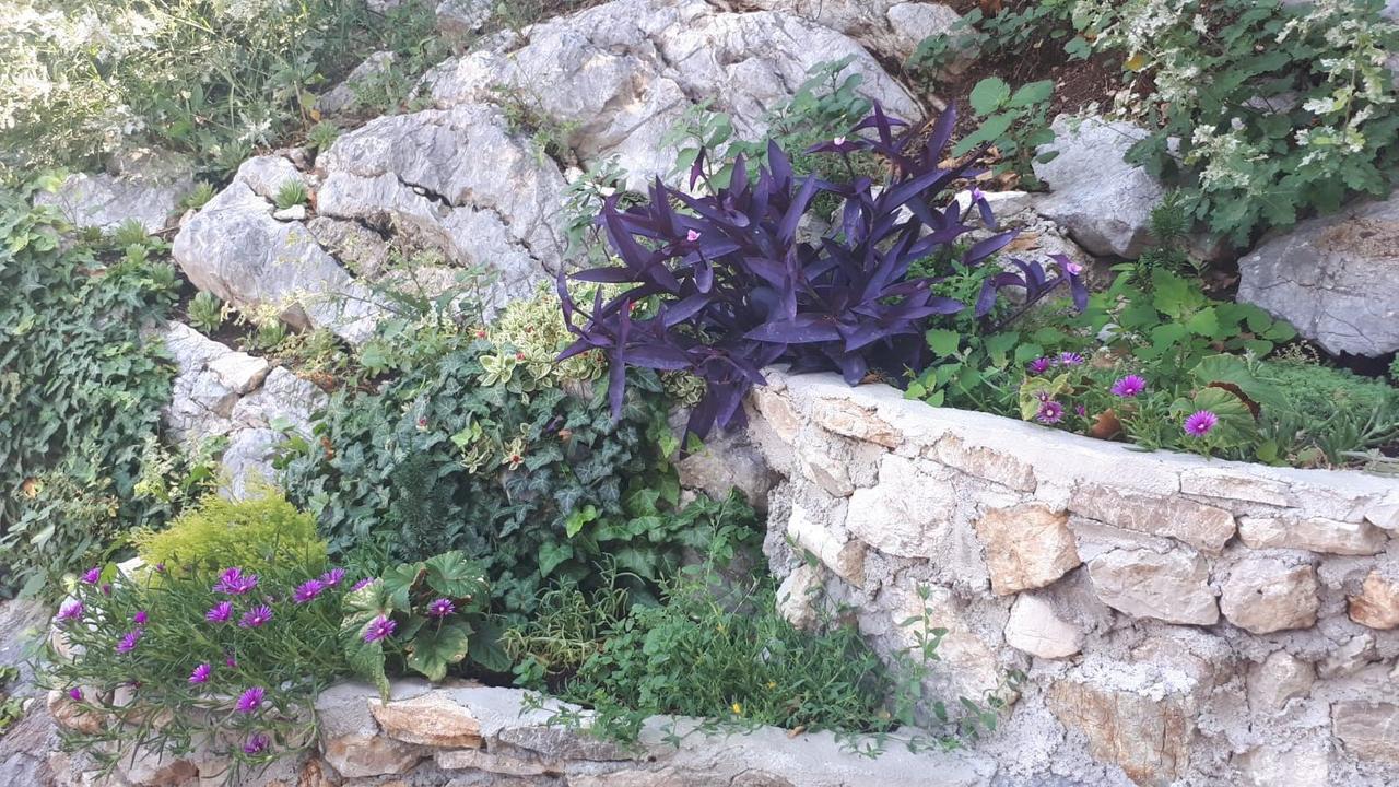 Petrovac Vila Lucice מראה חיצוני תמונה